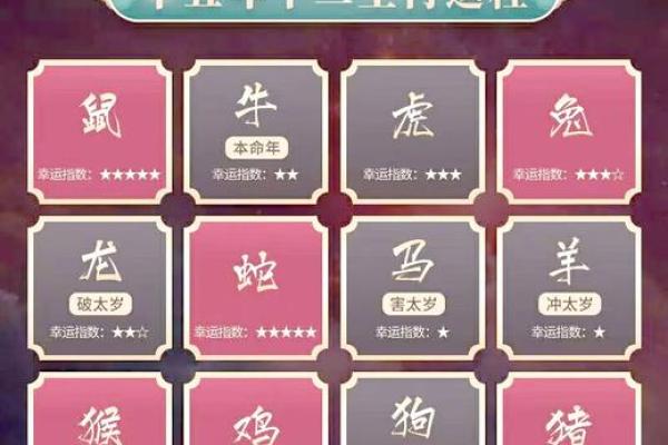 星光四射代表什么生肖？最全生肖寓意解析与答案揭秘