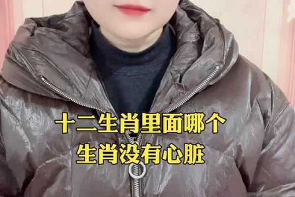 闭门不出在十二生肖中代表哪个动物？有什么性格特点解析