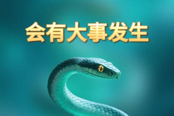 77年属蛇48岁大劫