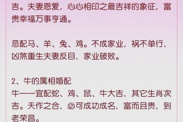 属相星座血型三者配对，如何找到最适合我的完美伴侣关系？