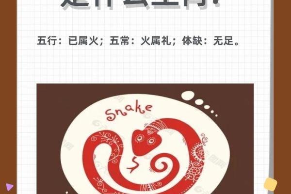 走马扬鞭展威风着句谜语具体指的是哪一个生肖动物呢
