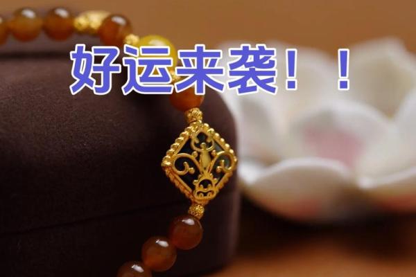 属蛇2025结婚好不好呢