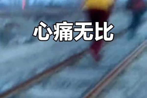 心如刀割形容心情痛苦，打一生肖究竟指的是哪一个？