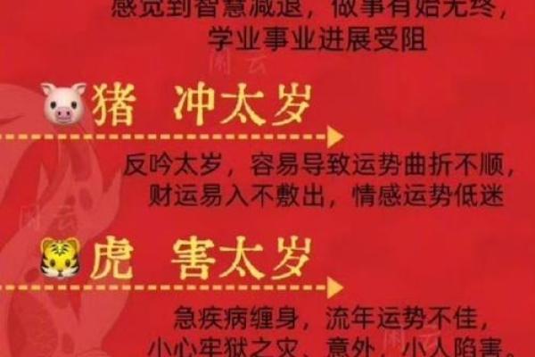 2025属蛇犯太岁注意什么