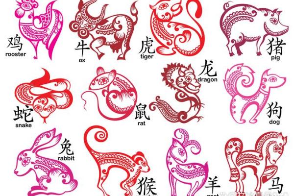 2013年正确生肖是龙还是蛇
