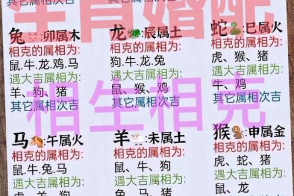 年老色衰打一生肖正确答案是什么请详细解释一下