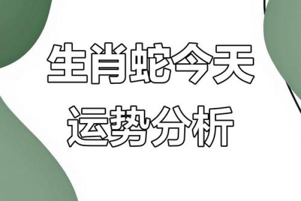 属相蛇2025年运势及运程详解