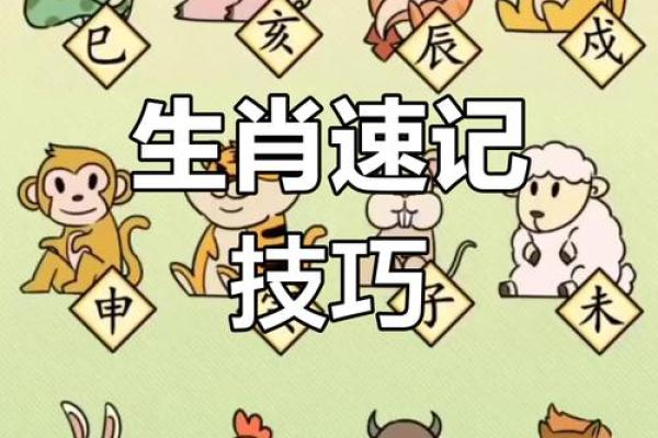 过眼烟云在十二生肖中对应什么动物？详细文化背景说明
