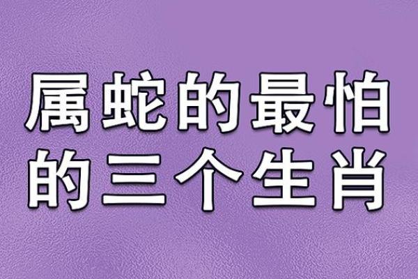 从生肖性格分析，哪个生肖最容易陷入回天无力的困境？