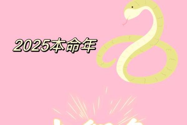 2025年本命年蛇