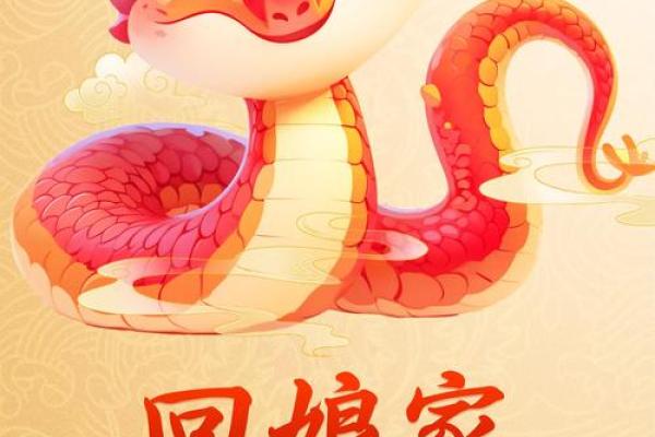 2025蛇年属猪披麻戴孝