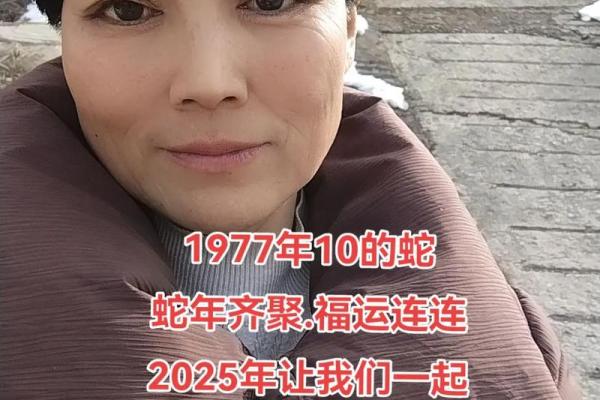 1977属蛇48岁2025年运气如何