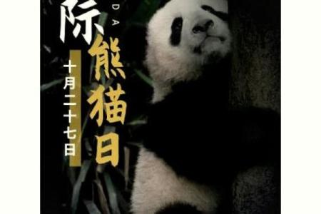 10月27日是什么特殊节日或国际纪念日？详细解析其背景和意义