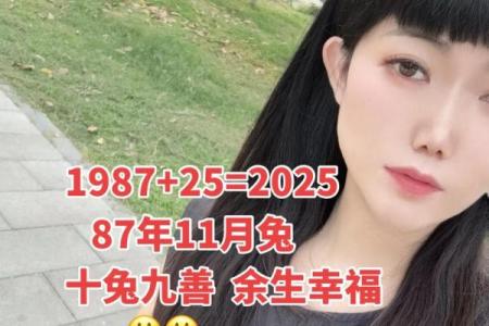 87年出生的生肖兔在2024年会有哪三件喜事？如何提前做好准备？