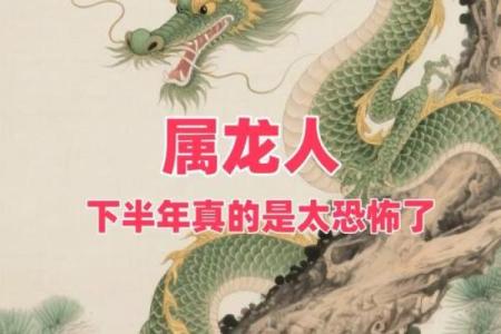 从生肖命理角度解析，属龙者最应该警惕哪三类人的影响？