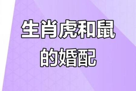 星光四射代表什么生肖？最全生肖寓意解析与答案揭秘