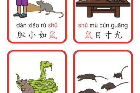 青云有路着个成语在十二生肖中代表哪个动物？