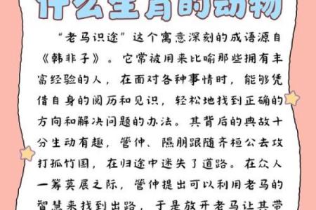 想要了解叽里咕噜在生肖文化中代表什么动物含义？