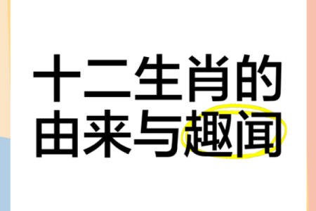 春华秋实代表什么生肖动物？完整解析其象征意义与由来
