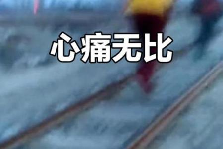 心如刀割形容心情痛苦，打一生肖究竟指的是哪一个？