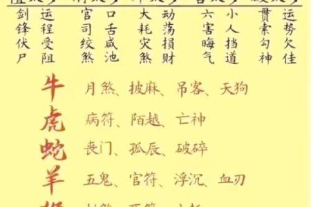 1993年出生属鸡的人在2023年实际年龄是多少周岁