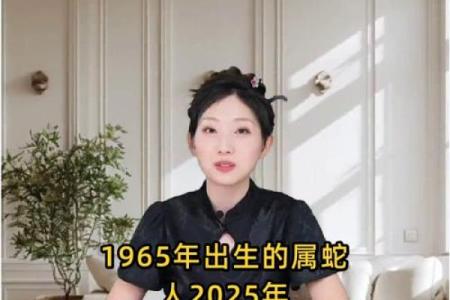 1965属蛇的今年下半年的运气