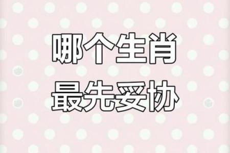 从生肖性格角度分析，哪些生肖组合最容易产生两强对峙的局面？