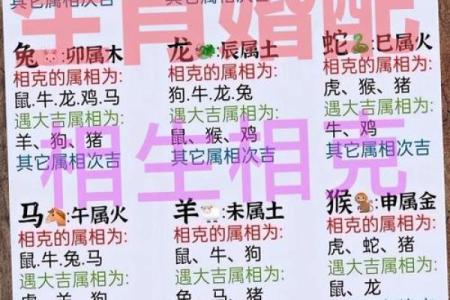 年老色衰打一生肖正确答案是什么请详细解释一下