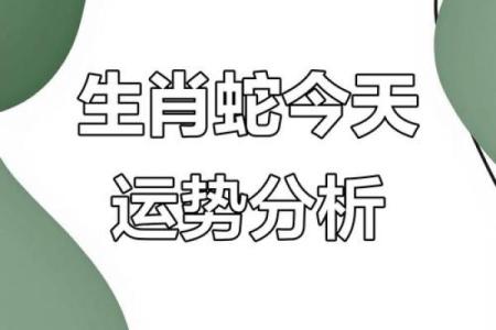 属相蛇2025年运势及运程详解