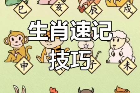过眼烟云在十二生肖中对应什么动物？详细文化背景说明