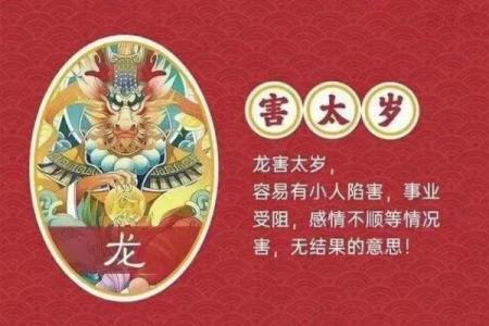 2024年属龙人如何化解太岁带来的健康与事业方面的潜在危机？