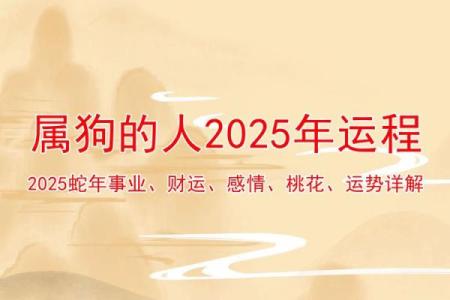 1970年属狗2025年运势详解及每月运程完整版