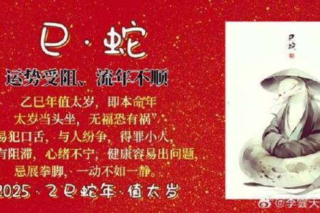今年属蛇的运气怎么样