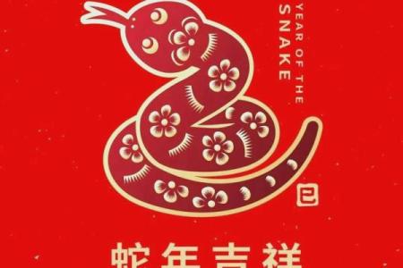 2025年属蛇人的命运