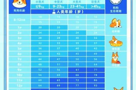 属狗的人今年多少岁，不同年份出生年龄对照表