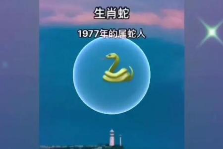 1977属蛇最佳配对