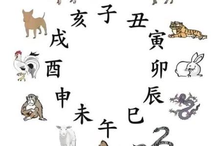 从极目远眺”的行为特征推测其对应生肖，哪种动物最具代表性？
