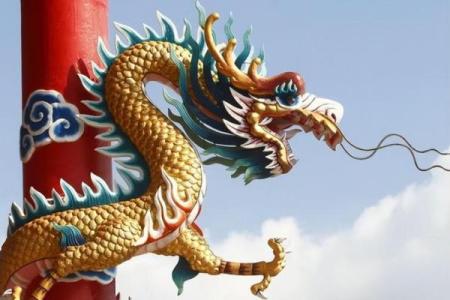 星火灿烂指的是哪个生肖动物有什么具体寓意和象征