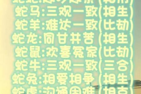 90年属马和属蛇属结婚长久吗