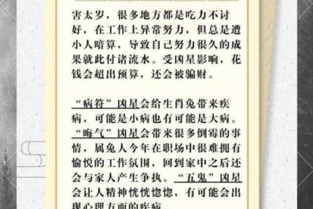 2024龙年犯太岁的生肖有哪些，需要注意什么事项？