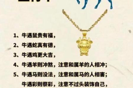 属蛇的人在2013年蛇年里的财运和事业运详解，有什么开运方法？