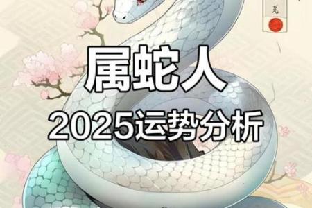 2025年属蛇人的全年运势详解免费