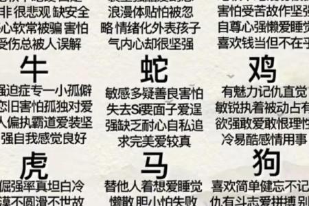 鸡犬相邻打一生肖的真正含义是什么？生肖谜语详细解答